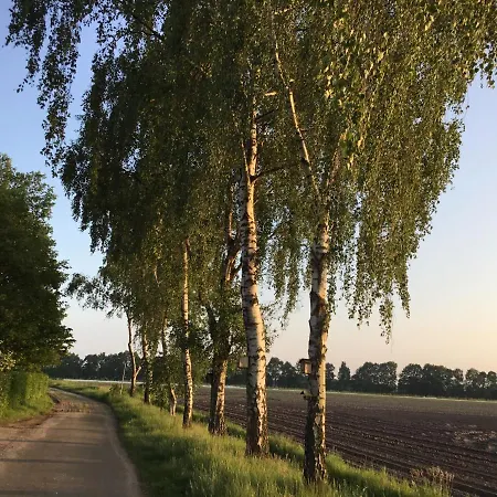 Op 't Eikenschoor Soerendonk