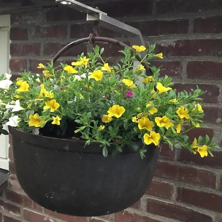 Op 't Eikenschoor Bed & Breakfast 4*