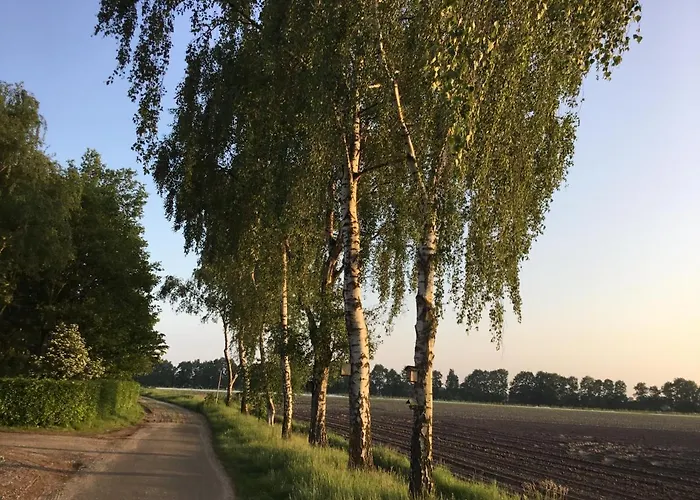 Op 't Eikenschoor Soerendonk