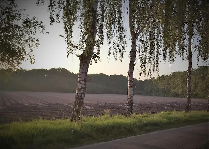 Op 't Eikenschoor Soerendonk