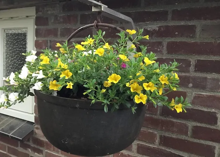 Op 't Eikenschoor Bed & Breakfast 4*