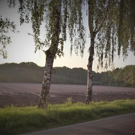 Op 't Eikenschoor Soerendonk